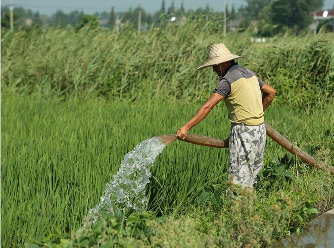 打包没有主清单属性_maven打包没有web.xml_打包没有袋子怎么办