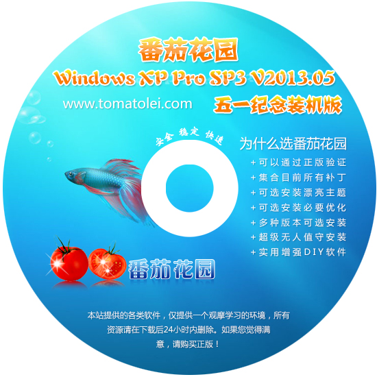 番茄花园 XP 系统 U 盘安装教程：让老电脑焕发第二春