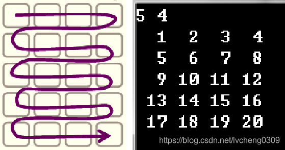 掌握二维数组赋值 0 的技巧，为数字世界刷上亮丽新漆
