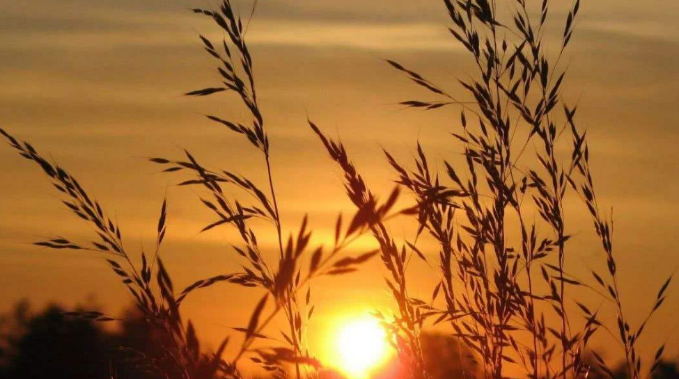 Ubuntu100432 位版本下载：复古与现代的完美邂逅，追忆过去美好时光