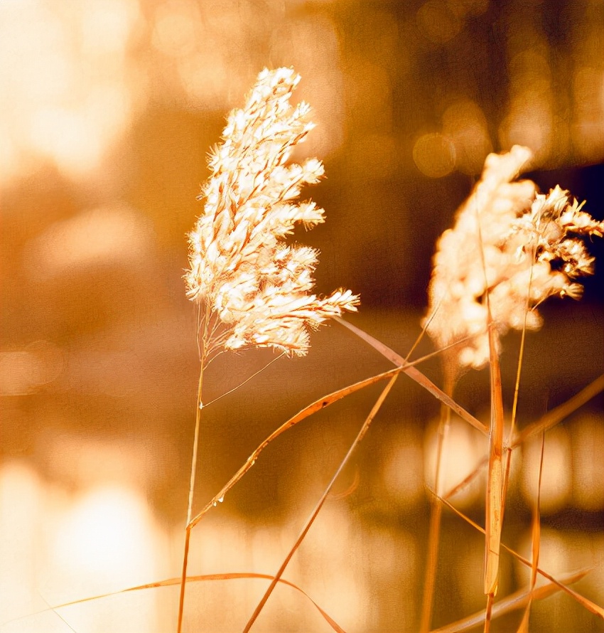 ubuntu 1004 32位下载_ubuntu10043d_qq32位下载