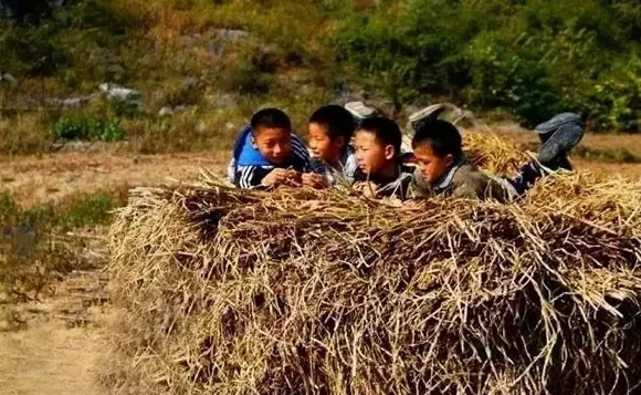 xp纯净版系统网盘_windows xp 网盘_xp驱动精灵离线版网盘