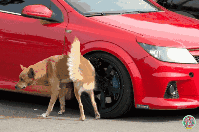 朝阳医院的电话号码_朝阳医院电话号码查询_朝阳医院电话号码
