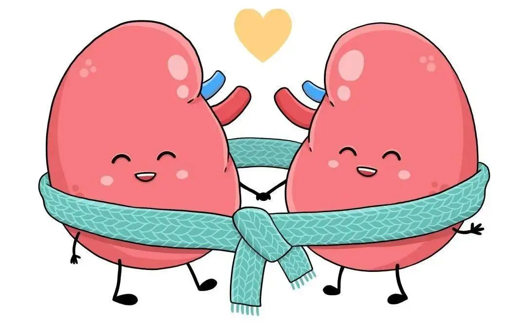 LIMS 系统与 TDM：实验室和医疗领域的超级英雄，拯救数据与优化治疗的关键