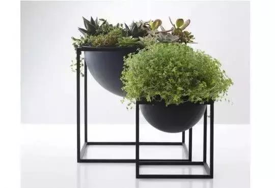 Linux 和 Windows：高冷自由与大众情人的对决，你更爱谁？