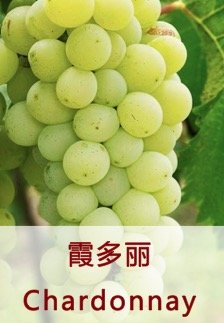 linux操作系统与windows哪个好_操作系统与linux系统_操作系统选哪个