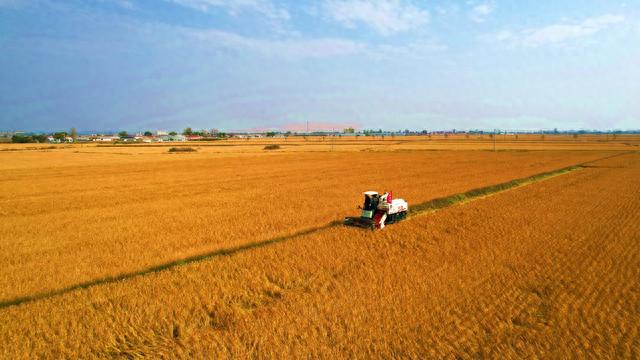 通化县医院官网_通化镇卫生院_吉林省通化市辉南县朝阳镇县医院