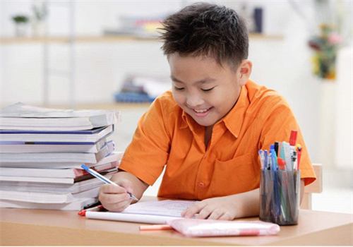 DHCPBoot：让电脑小白也能轻松搞定网络启动的小魔法