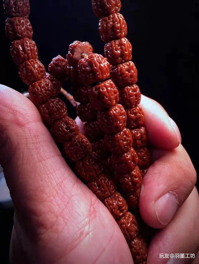 mallbuilder 破解版_破解版游戏盒子大全_破解版游戏无限内购破解版