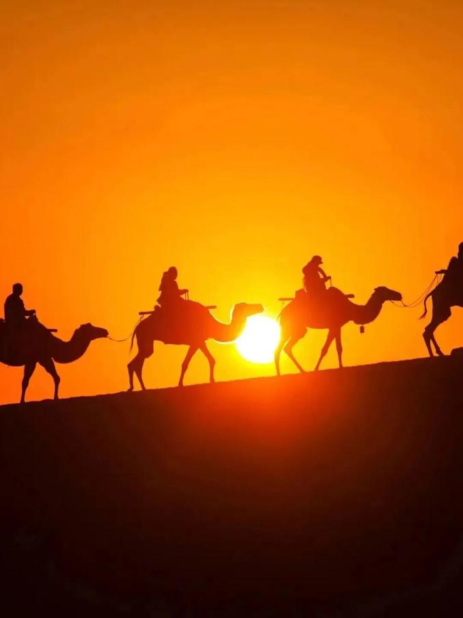 乐至新闻频道_乐至新闻联播_乐至中学的新闻