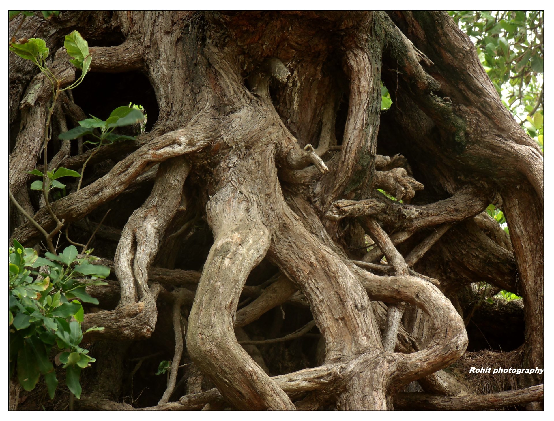 iso镜像文件怎么变成gho_镜像文件转换器_怎么把iso文件转换成gho镜像