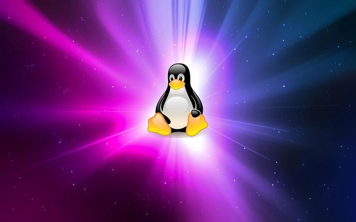 熬夜啃书的 Linux 宝典：鸟哥的 Linux 私房菜等书籍助你打开新世界大门