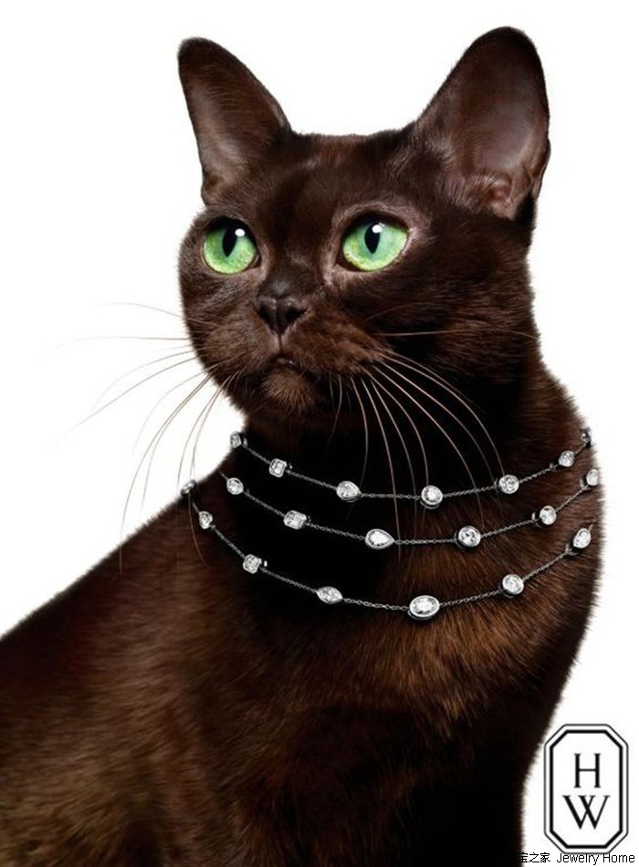 脸部脱皮原因大揭秘，你中了几招？