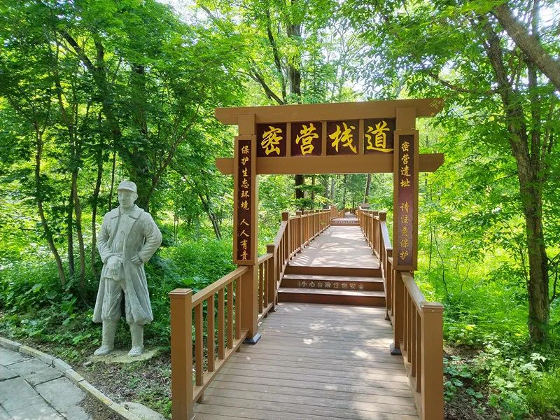 身份证号含意_身份证含义编号_身份证号码的含义220243