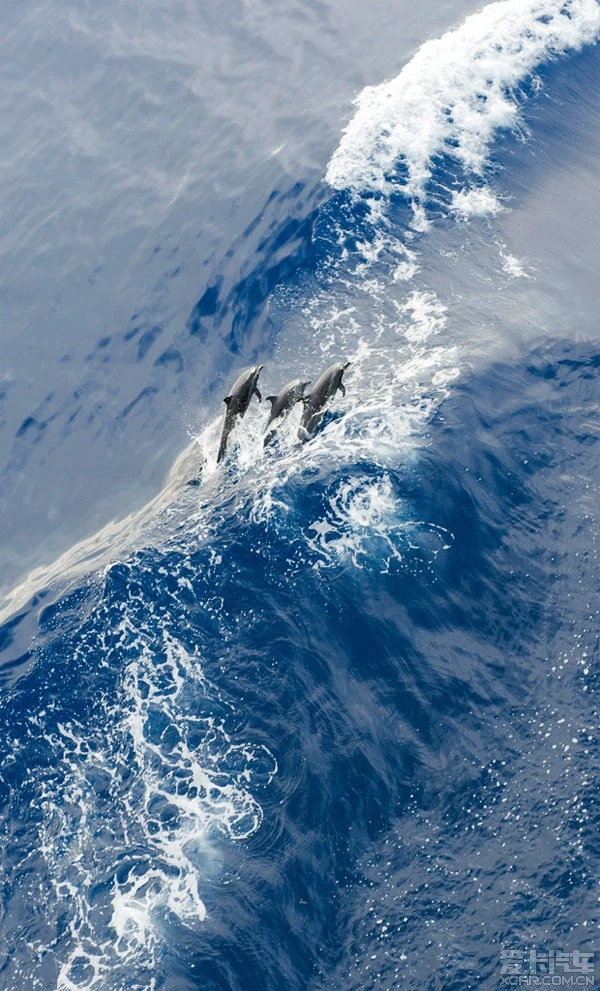 悸悸_悸怎么读_悸悸