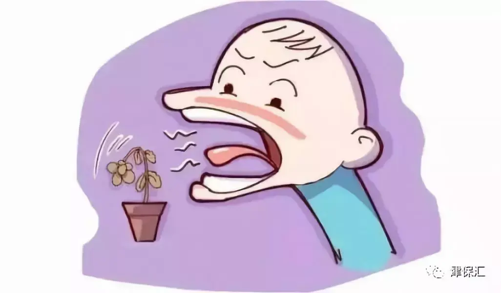 蔬菜养胃胃病吃有什么好处_有胃病吃什么蔬菜养胃_吃什么蔬菜养胃能对胃病有好处