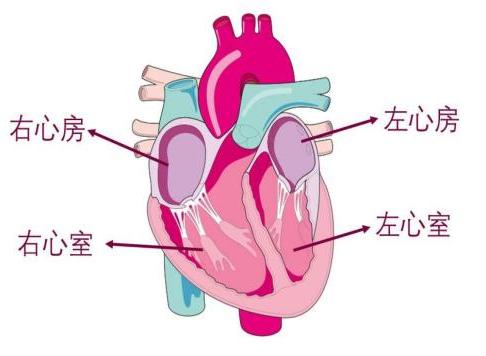 汽车电控系统零件_汽车电控系统的结构与维修总结_零件电控汽车系统有哪些