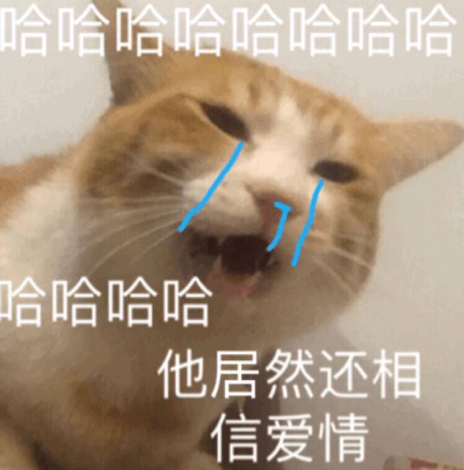 误删文件夹回收站没有怎么办_文件误删了_误删文件怎么恢复