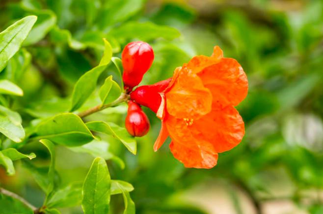 北京朝阳区朝阳医院_北京朝阳医院本部在哪_北京朝阳医院院区