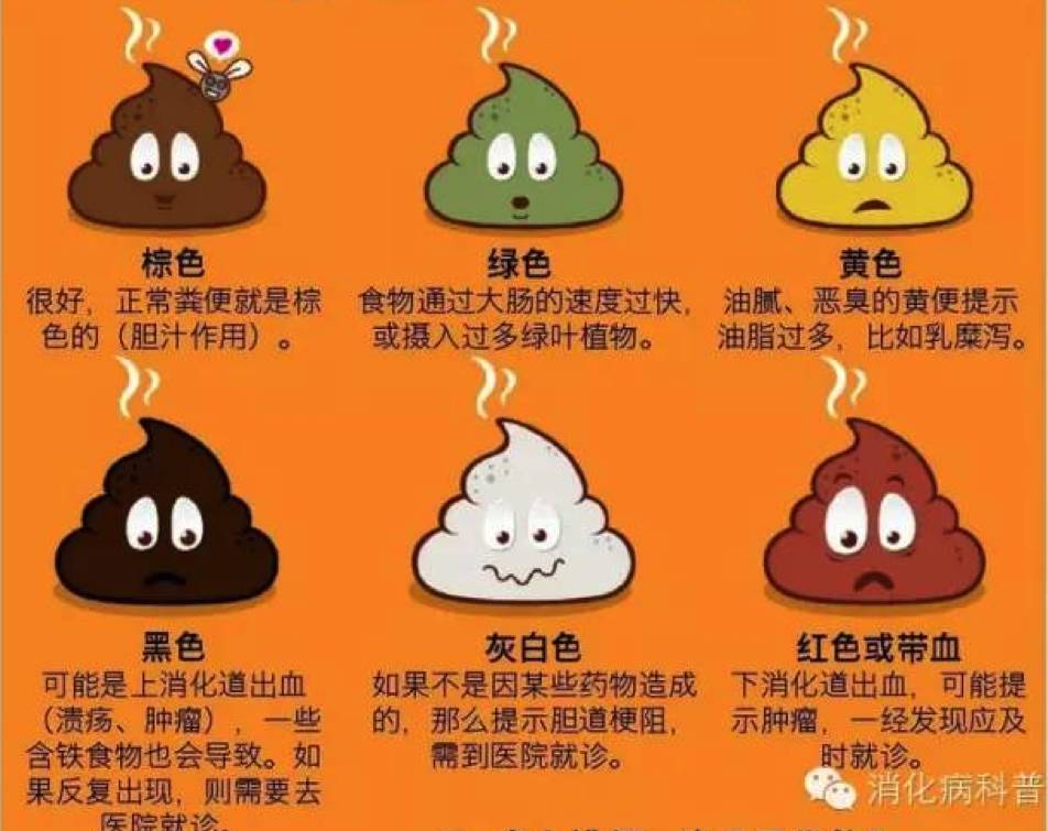 拉粑粑拉鲜血_拉大便时只拉出鲜血_大便时拉出血来