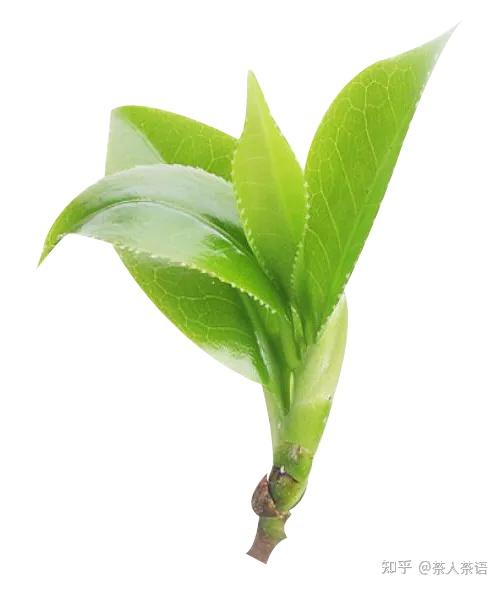 android 背景图片_背景图片简约_背景图片高级感