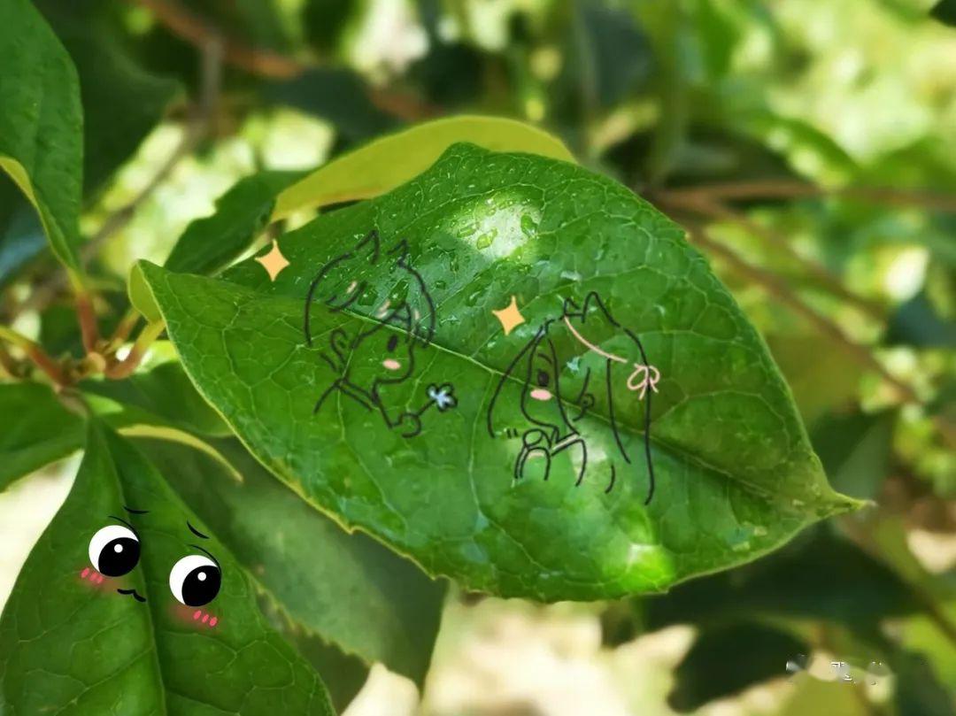 背景图片简约_背景图片高级感_android 背景图片