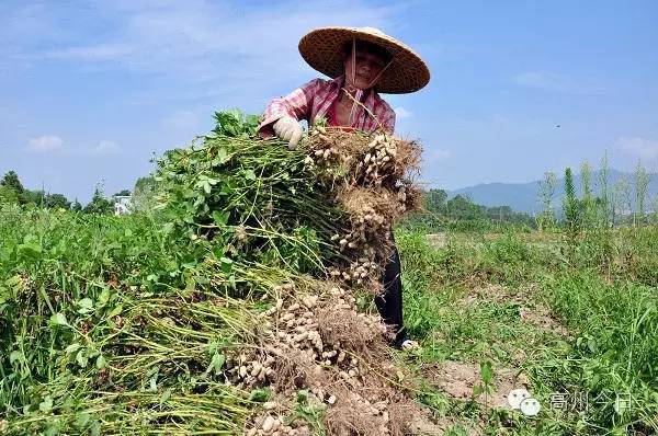 ubuntu 16 wine qq_ubuntu 16 wine qq_ubuntu 16 wine qq