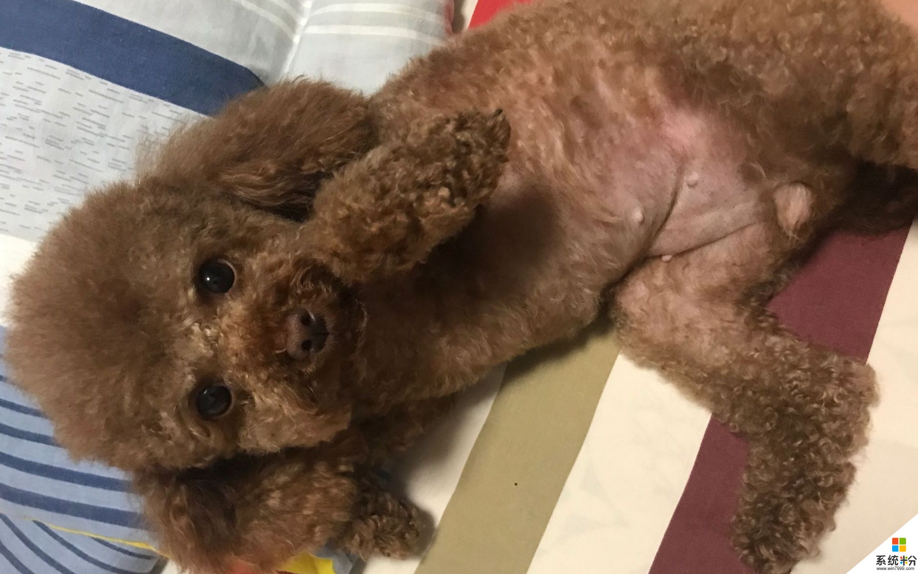 安装framework_安装framework3.5_net framework安装 xp