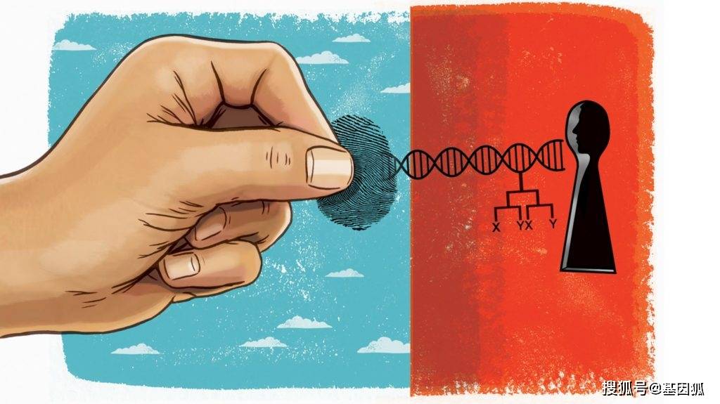 指纹充电真的可以充电吗_指纹充电真的能充电吗_指纹充电有用吗