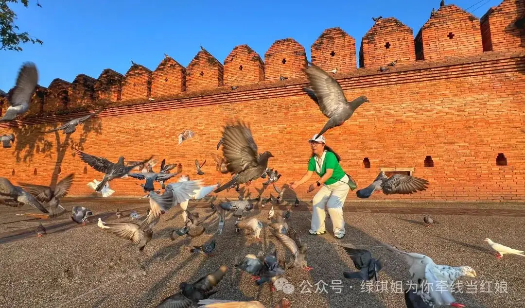 Accelostorder 微博：从搞笑到暖心，再到公益，带给我无尽感动