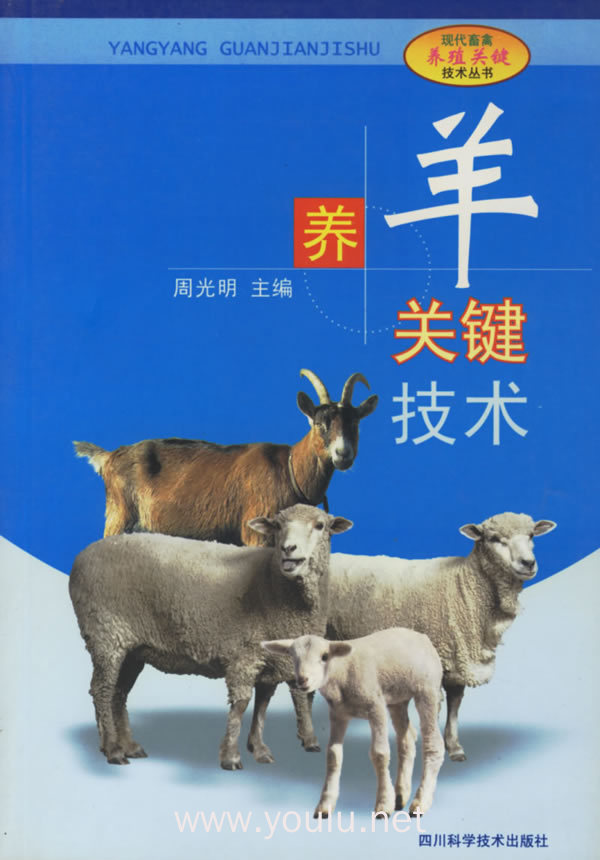 养羊技术大全：从习性到经济效益，全面解析养羊之道