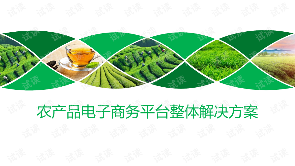 电子商务解决方案范文_电子商务解决方案案例_电子商务解决方案是什么