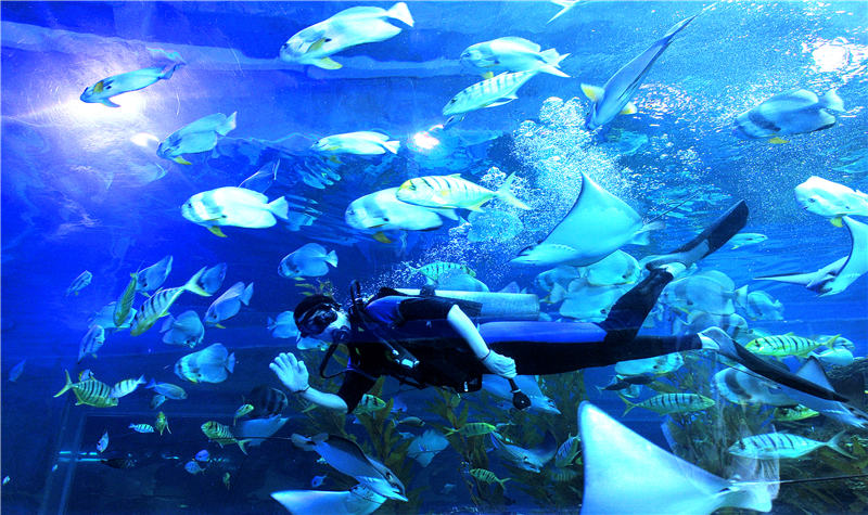 六眼天珠：藏传佛教的神秘宝贝，拥有不可思议的力量和保护作用