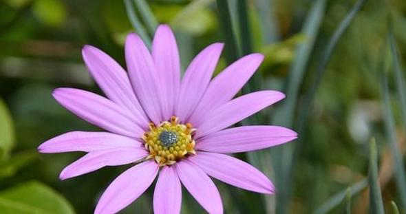 ubuntu server 32bit_ubuntu server 32bit_ubuntu server 32bit