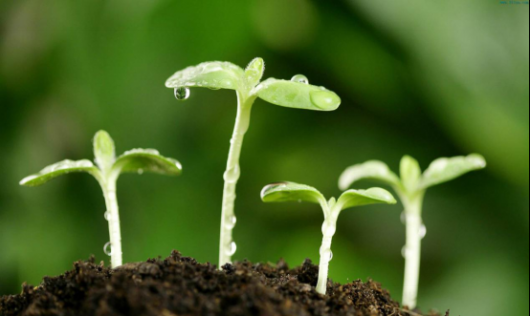 kb948465下载_下载微信_windowskb下载