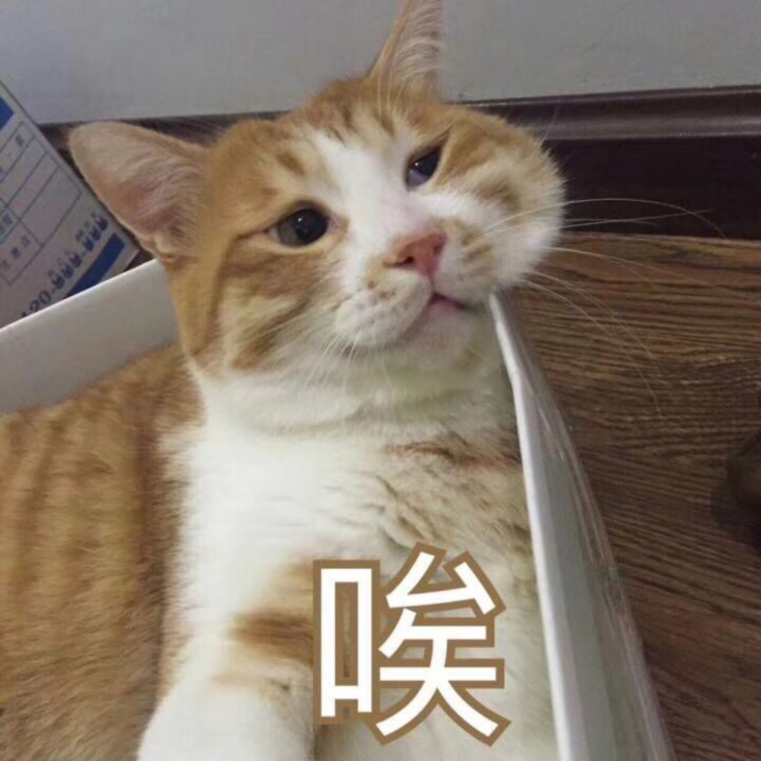 神奇的 OneKeyGhost 下载：电脑的时光机，一键恢复出厂设置