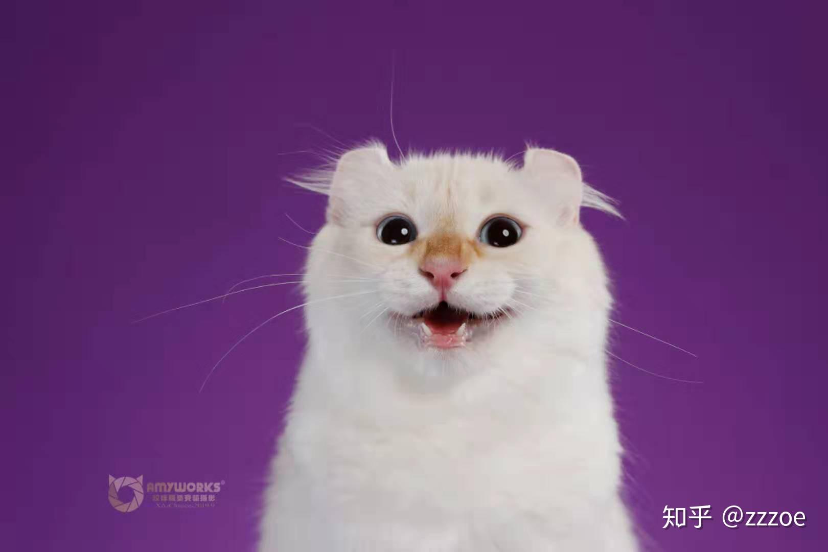 地图电子版下载_电子地图mapinfo_地图电子地图三维地图查询