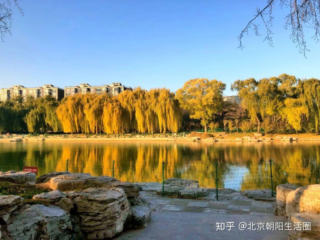 朝阳区三间房医院电话：生活中的安心守护神，你记住了吗？