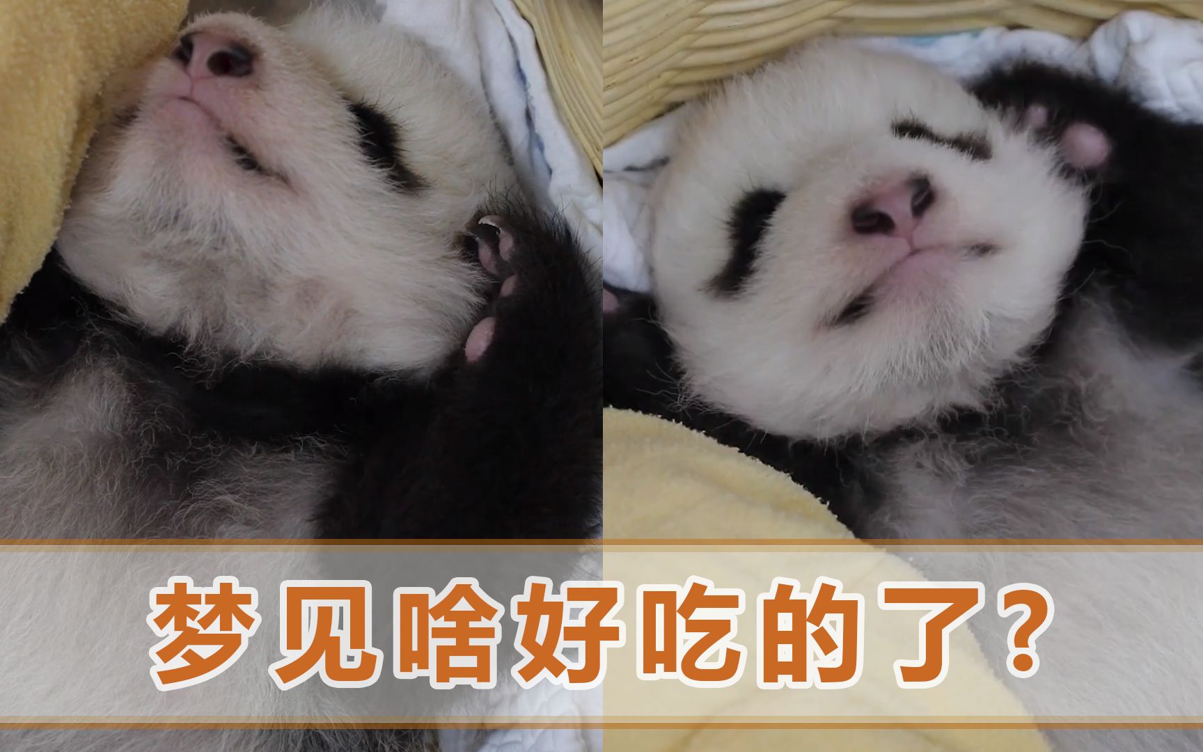 宝宝吃完奶打嗝怎么办？妈妈们别担心，这是正常现象