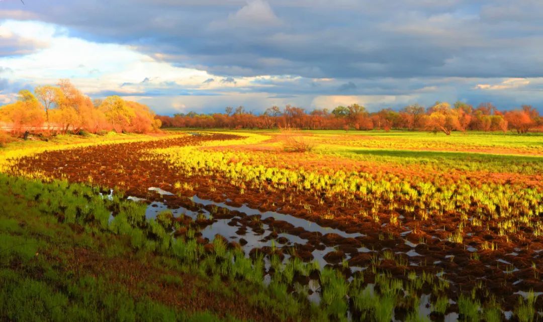 意思是说_意思是不是轻声词_ecosystem是什么意思