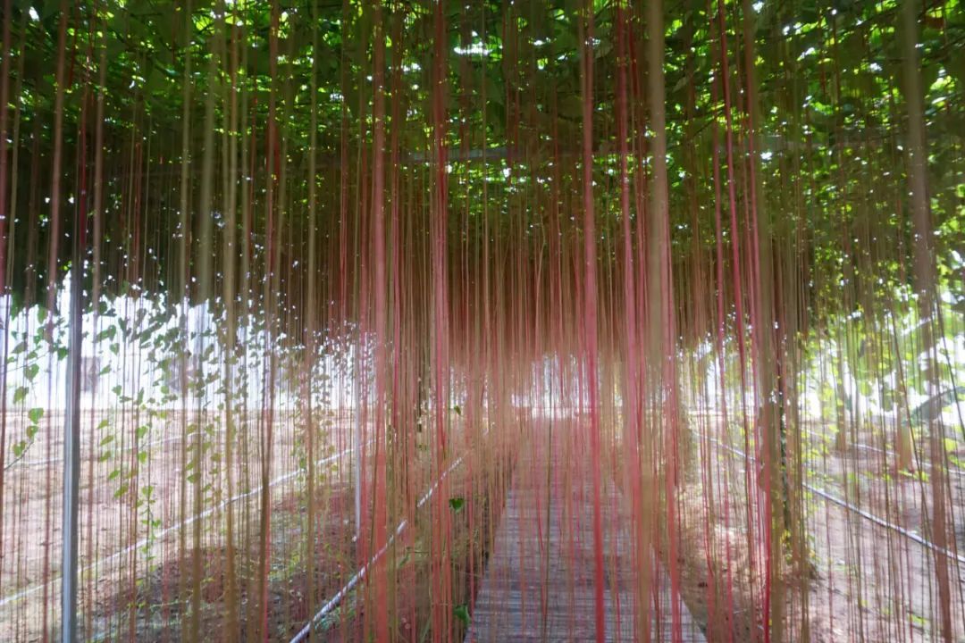 北京朝阳医院皮肤科_北京朝阳区皮肤科医院_北京朝阳医院皮肤科好大夫