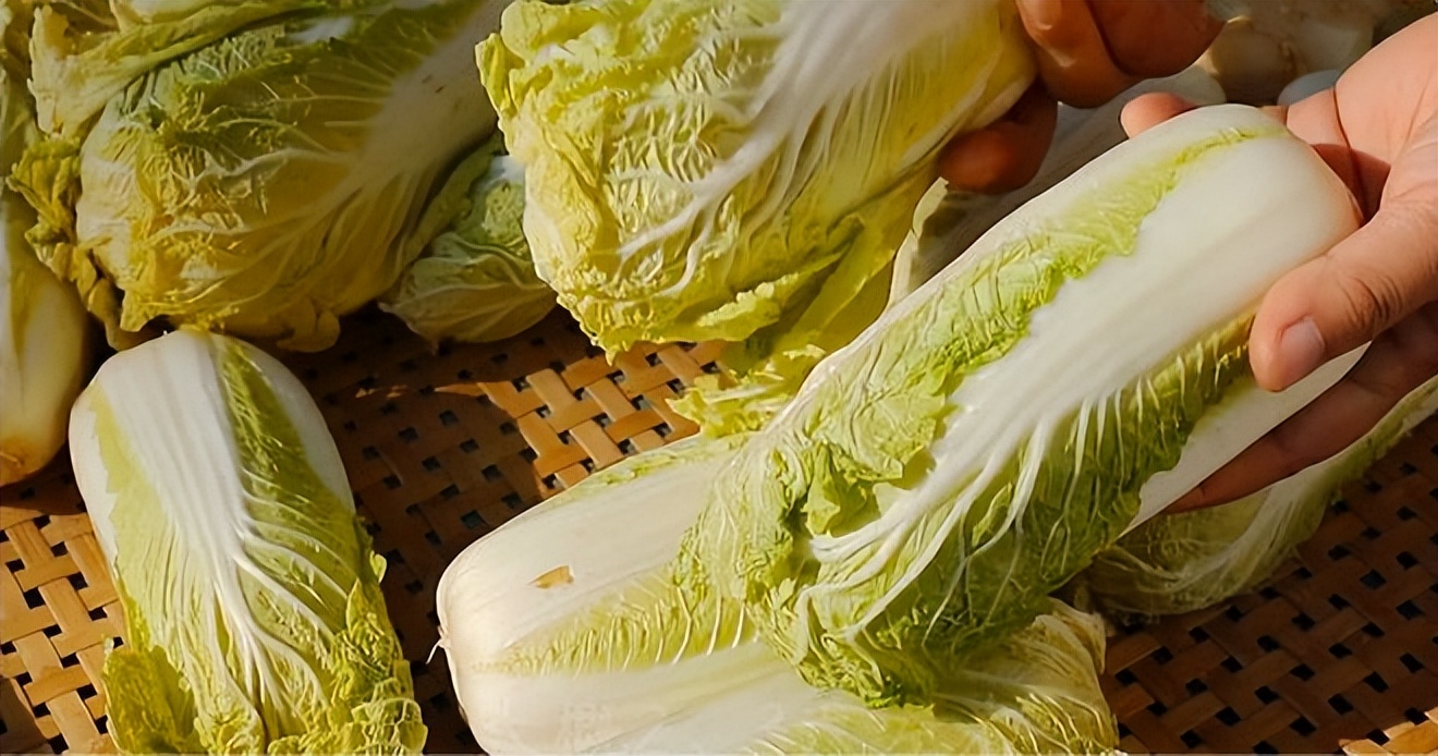 大白菜装系统需谨慎，操作复杂且可能存在安全隐患