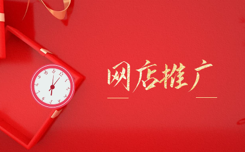 shopex网店v484去版权破解版_店铺软件破解版_网店大师破解版下载