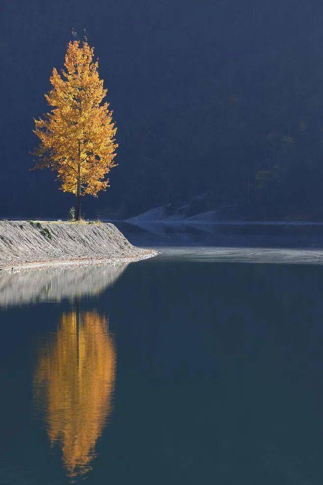 回忆 WindowsXPSP1：青春岁月里的潮流先锋，下载安装的曲折与成就