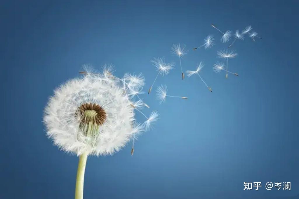 下载windowS10_下载windows11要多久_windows xp sp1下载