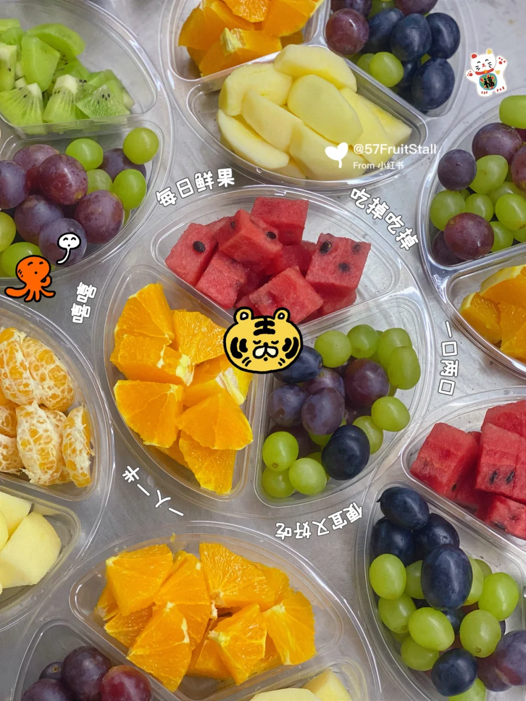 rm5023_rm5023_rm5023