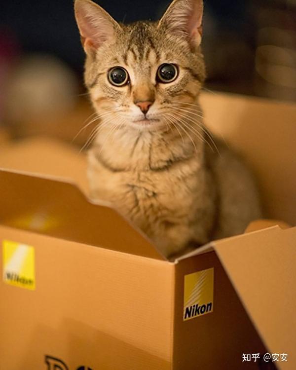 解压失败是怎么回事_解压不成功_艹猫解压失败