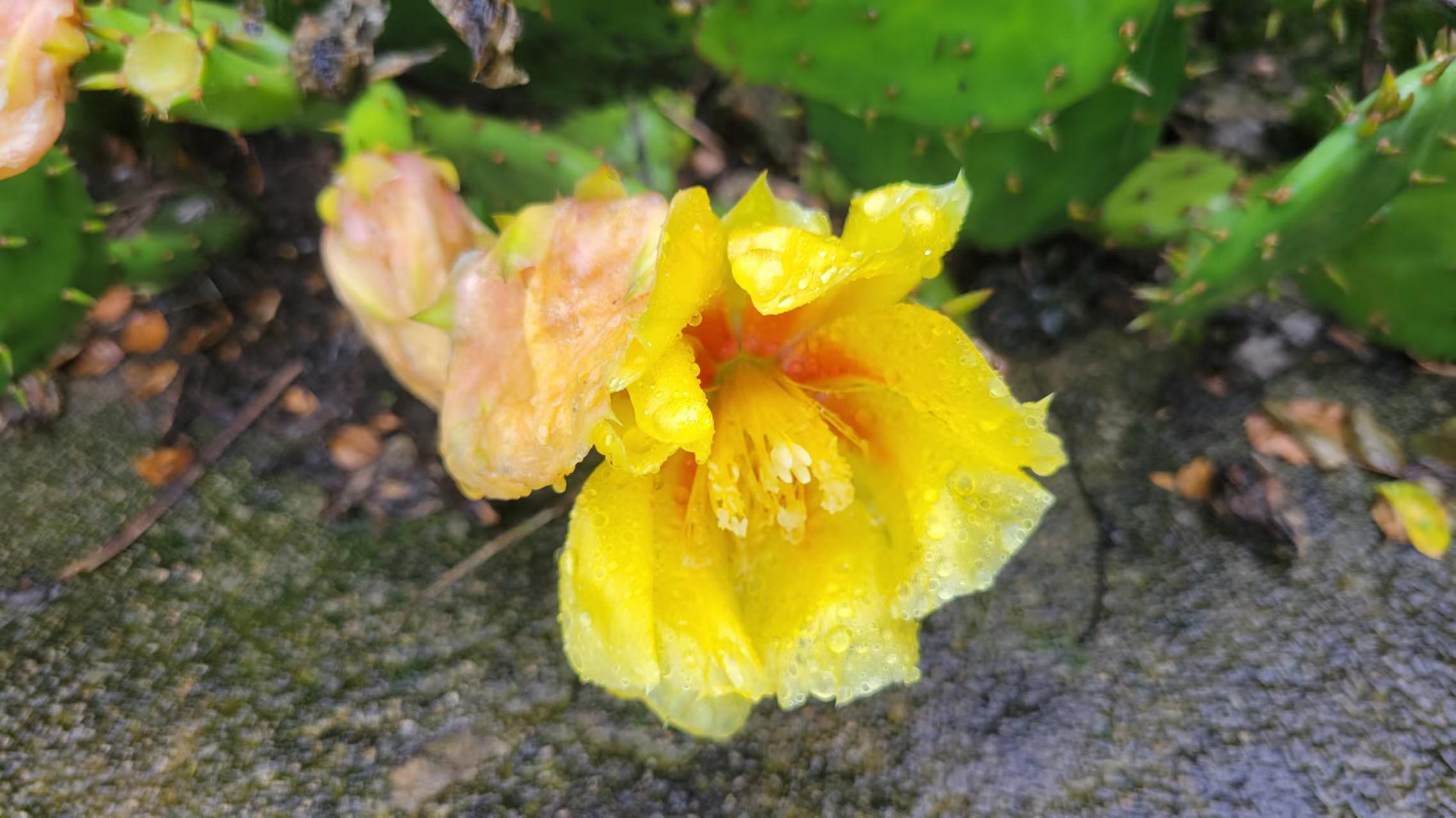 激活码windows7_激活码windows有几种_windows8.1激活码2024