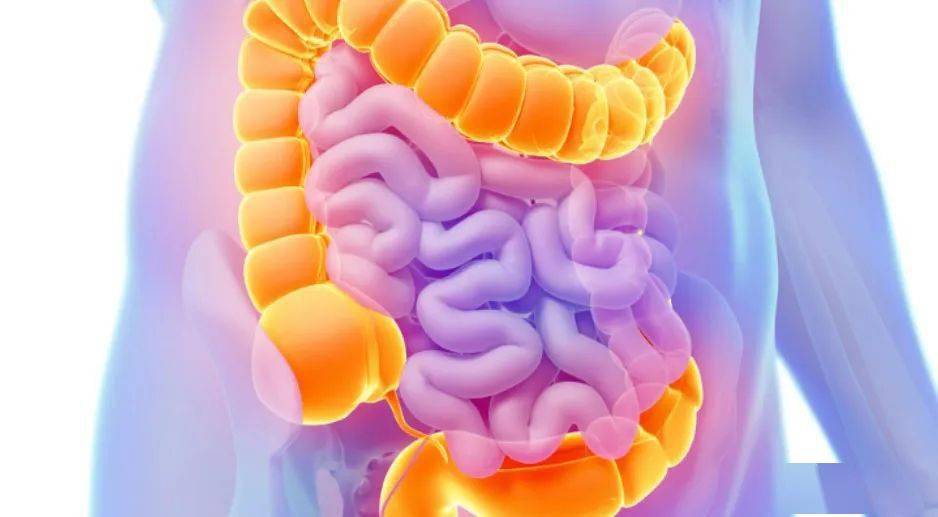 克罗恩治疗时可以吃饭吗_克罗恩可以痊愈吗_罗恩克病
