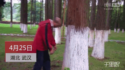 图片恢复大师会员：恢复效果究竟如何？是真神奇还是大忽悠？